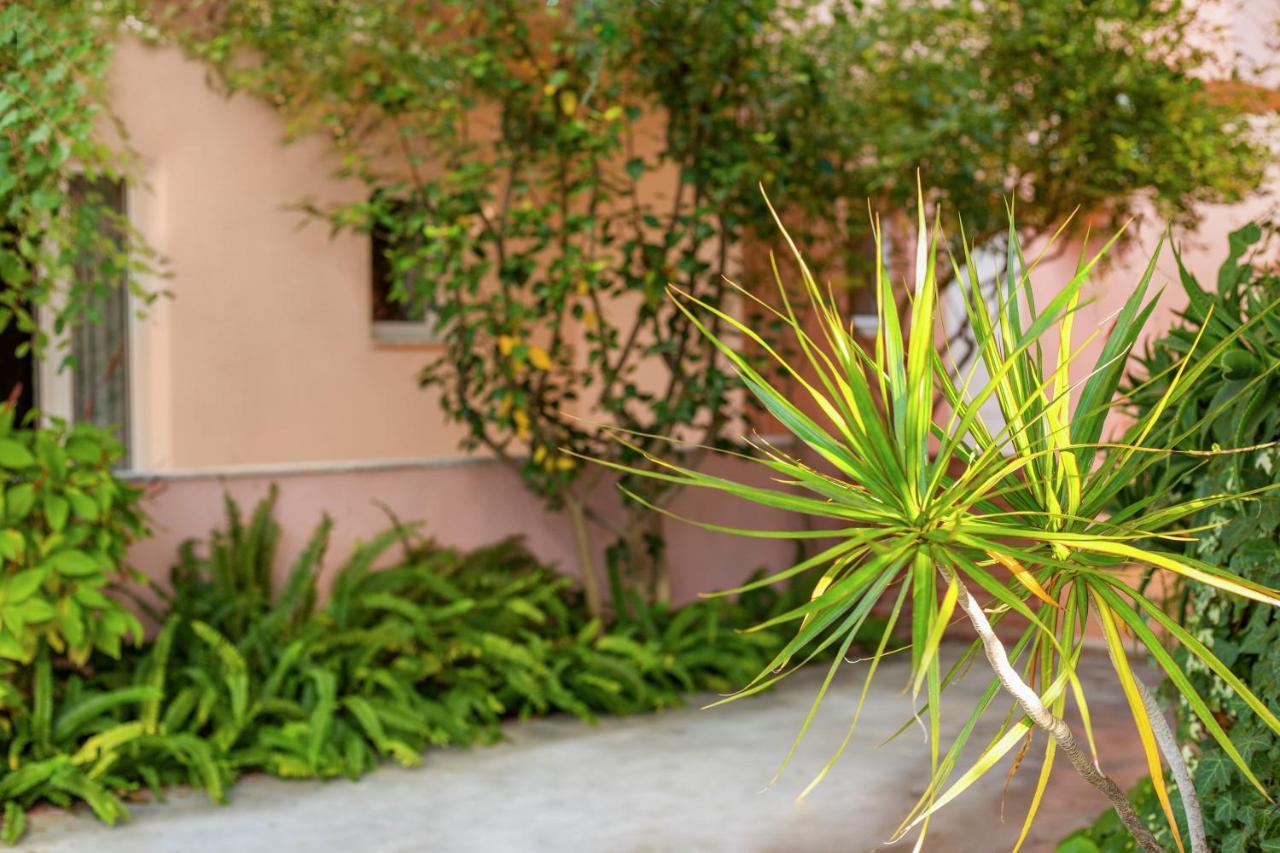 Aphrodite Studios & Apartment Bali  Dış mekan fotoğraf