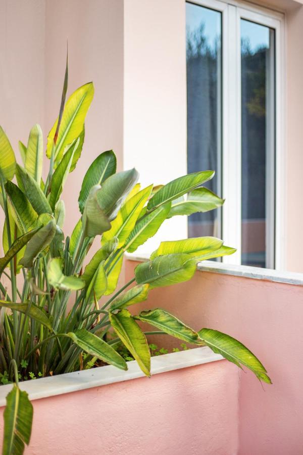 Aphrodite Studios & Apartment Bali  Dış mekan fotoğraf